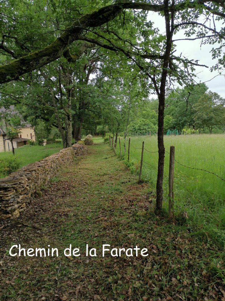 low-chemin-de-la-farate